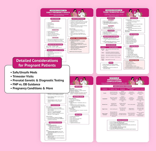 The Essential Family Nurse Practitioner Guide