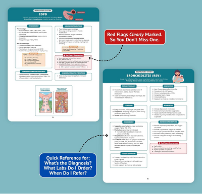 The Essential Family Nurse Practitioner Guide