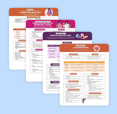 The Essential Family Nurse Practitioner Guide